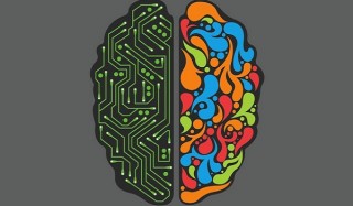 Мозг программирует человека думать, как все