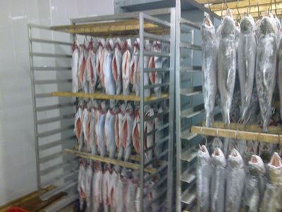 Оборудование для заморозки рыбы. шоковая заморозка рыбы