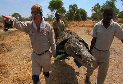 Зоолог в крокодиле заполз к убийственным тварям